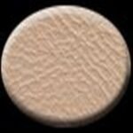 Dashtop 27A-XX-15093 Door Trim Panel - Tan - Image 2