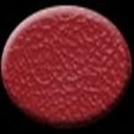 Dashtop 27E-XX-15363 Door Trim Panel - Red - Image 2