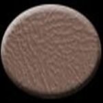 Dashtop 294-15033 Door Trim Panel - Tan - Image 2