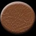 Dashtop 980D-664 Door Trim Panel - Brown - Image 2