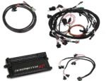 Holley 550-654 Fuel Injection Wiring Harness - Universal, Sold Individually