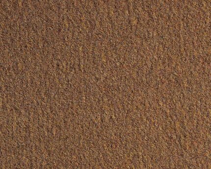 Newark Auto Products 41B-2001854 Front Carpet Kit, Gold, Carpet