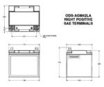 Odyssey Battery ODS-AGM42LA Battery - Extreme Series, Direct Fit, Sold individually - Image 2