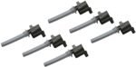Delphi SET-DELGN10226-6 Ignition Coil, Set of 6, 3.0L, 6Cyl