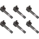 Delphi SET-DELGN10426-6 Ignition Coil, Set of 6