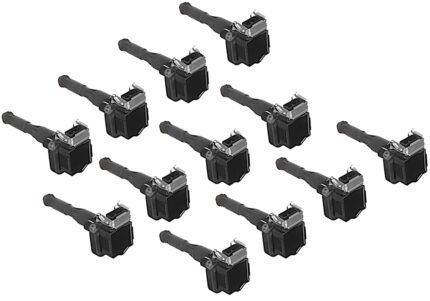 Delphi SET-GN10016-12 Ignition Coil, Set of 12