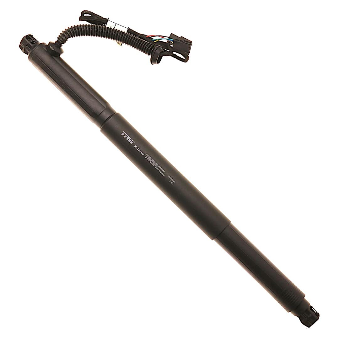 trwtsg367043_1.jpg TRW TSG367043 Driver Side Tailgate - Image 1