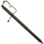 TRW TSG367080 Driver or Passenger Side Tailgate